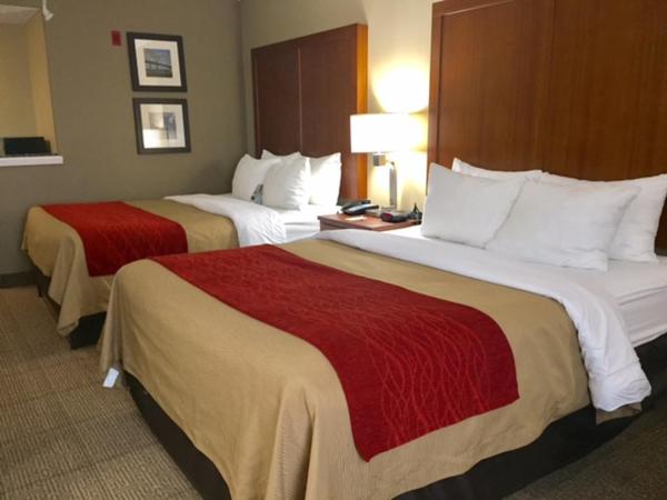 Comfort Inn & Suites Airport-American Way : photo 2 de la chambre chambre avec 2 grands lits queen-size