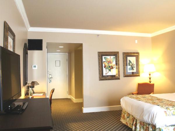 Menger Hotel : photo 3 de la chambre chambre classique avec 2 lits doubles