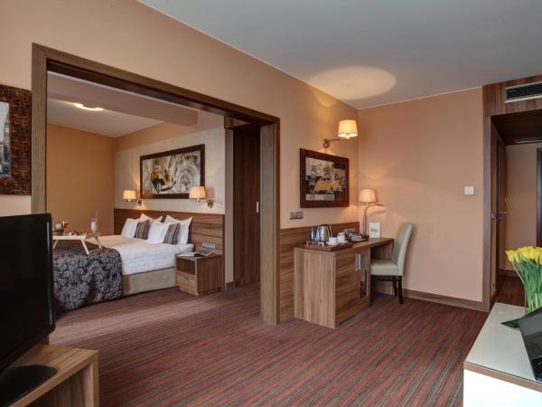 Haston City Hotel : photo 4 de la chambre suite junior