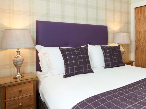 Braid Apartments by Mansley : photo 7 de la chambre studio