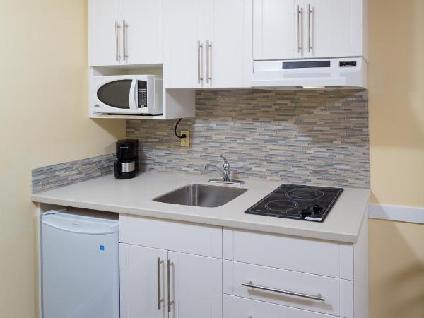 Siesta Suites : photo 3 de la chambre grande chambre avec 2 lits queen-size et kitchenette