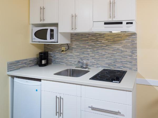 Siesta Suites : photo 2 de la chambre grande chambre avec 2 lits queen-size et kitchenette