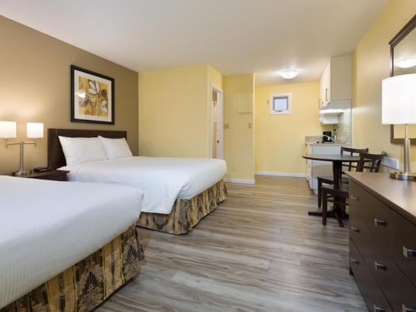 Siesta Suites : photo 8 de la chambre grande chambre avec 2 lits queen-size et kitchenette