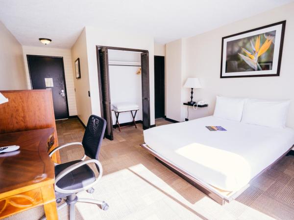 Stay Hotel Waikiki : photo 10 de la chambre chambre lit queen-size boutique