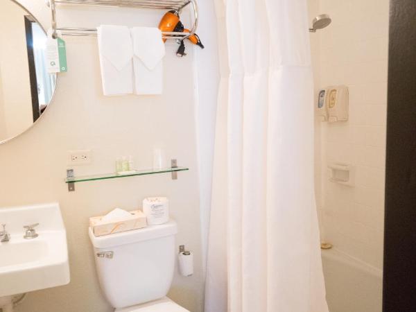 Stay Hotel Waikiki : photo 2 de la chambre chambre lit queen-size boutique