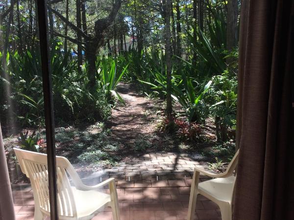 Byron Bay Rainforest Resort : photo 6 de la chambre 2 room cabin ( king bed & 2 long singles)