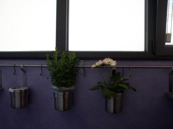 Piume Verdi : photo 2 de la chambre appartement - vue sur mer