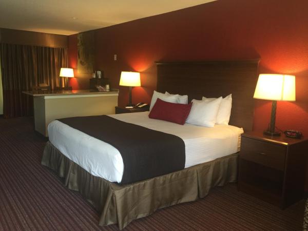 SureStay Plus by Best Western San Antonio Fiesta Inn : photo 4 de la chambre suite lit king-size