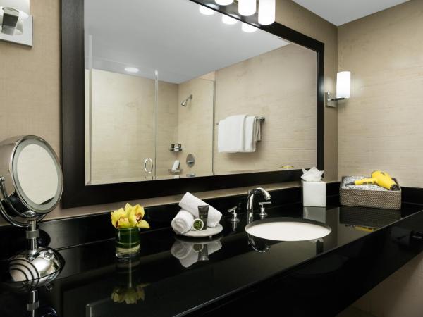 Hyatt Centric Arlington : photo 7 de la chambre pure hypoallergenic room