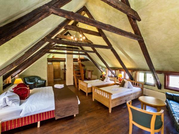 Pension U Hada : photo 10 de la chambre studio avec balcon 