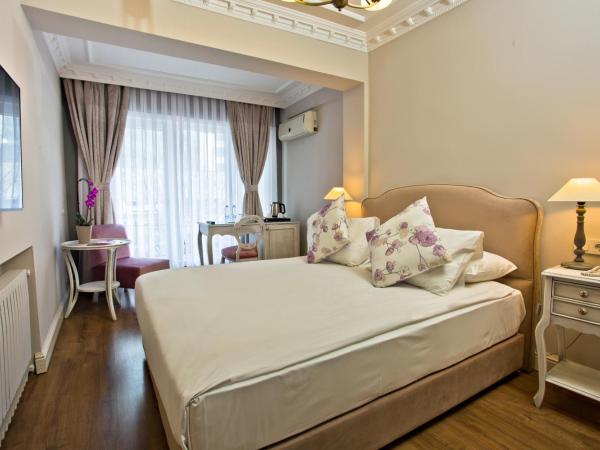 Villa Blanche Hotel SPA & Garden Pool : photo 5 de la chambre chambre double