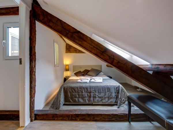 Hôtel du Raisin : photo 3 de la chambre grand studio