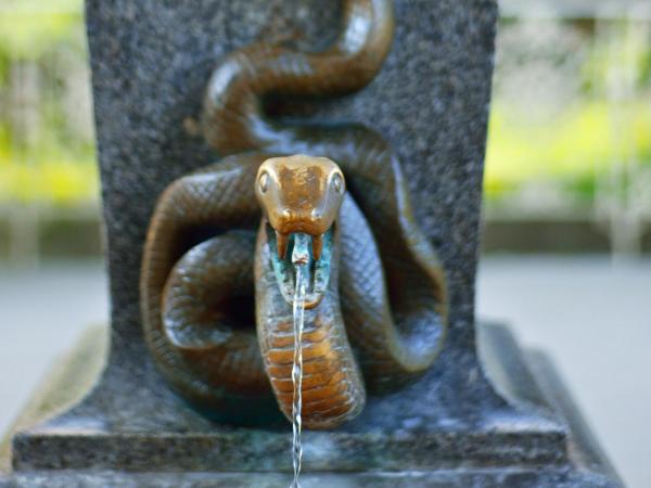 Bluestars Apartments : photo 6 de la chambre appartement en duplex