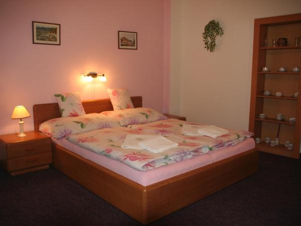 Chebsky dvur - Egerlander Hof : photo 1 de la chambre chambre double ou lits jumeaux
