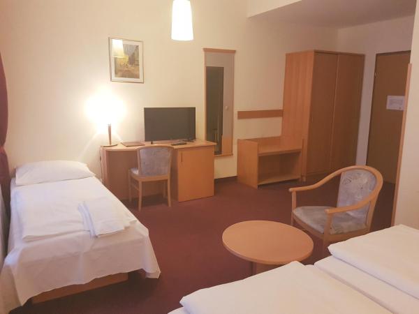 Hotel Haydn : photo 6 de la chambre chambre triple supérieure