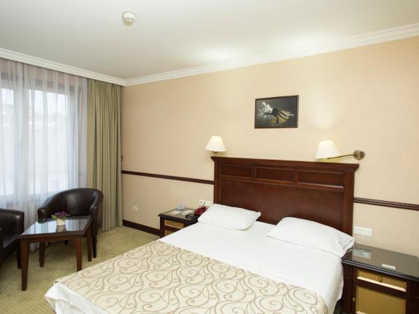 Topkapi Inter Istanbul Hotel : photo 7 de la chambre chambre double