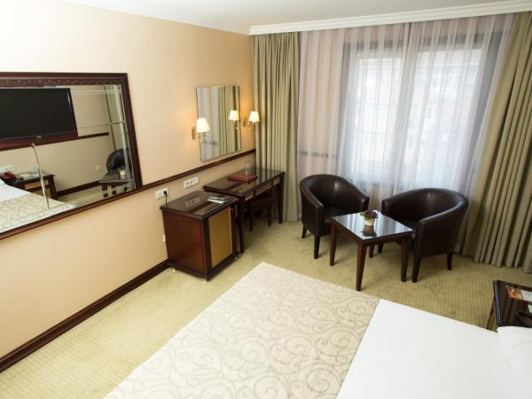 Topkapi Inter Istanbul Hotel : photo 8 de la chambre chambre double