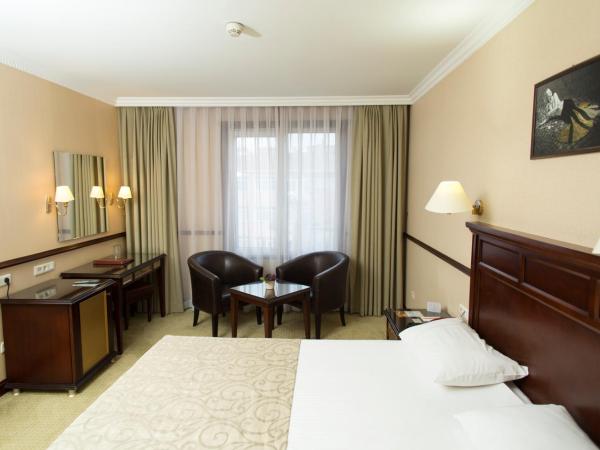 Topkapi Inter Istanbul Hotel : photo 10 de la chambre chambre double