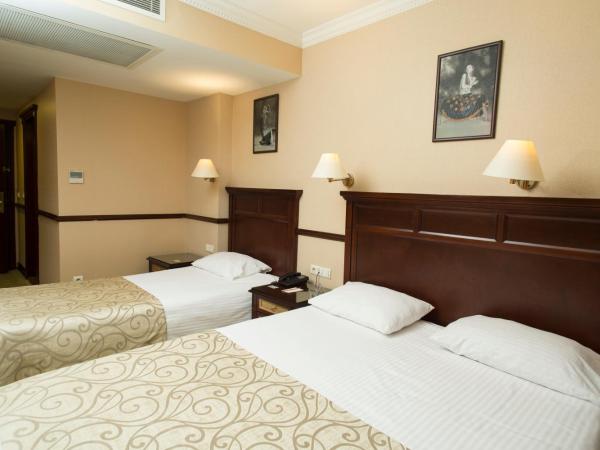 Topkapi Inter Istanbul Hotel : photo 6 de la chambre chambre triple