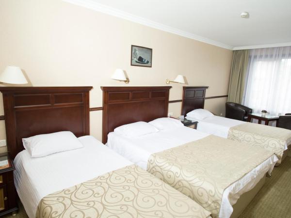 Topkapi Inter Istanbul Hotel : photo 6 de la chambre chambre familiale (4 adultes) 