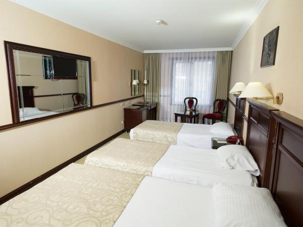 Topkapi Inter Istanbul Hotel : photo 7 de la chambre chambre familiale (4 adultes) 