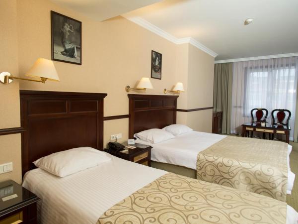 Topkapi Inter Istanbul Hotel : photo 7 de la chambre chambre triple