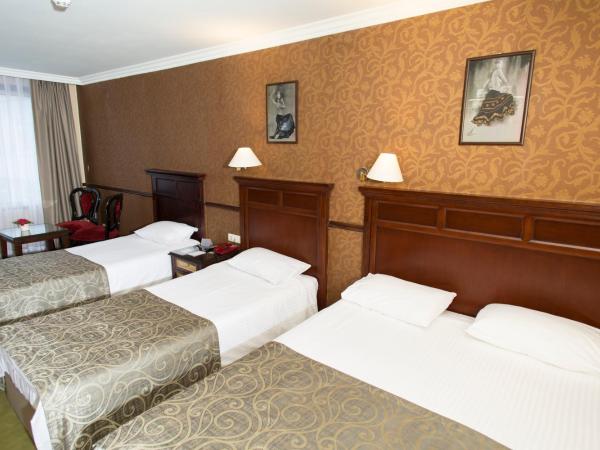 Topkapi Inter Istanbul Hotel : photo 9 de la chambre chambre familiale (4 adultes) 