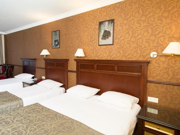 Topkapi Inter Istanbul Hotel : photo 9 de la chambre chambre triple