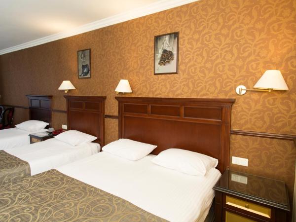 Topkapi Inter Istanbul Hotel : photo 10 de la chambre chambre familiale (4 adultes) 