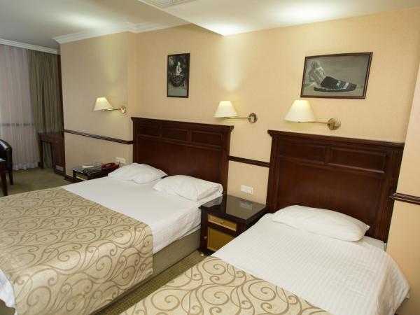 Topkapi Inter Istanbul Hotel : photo 10 de la chambre chambre triple