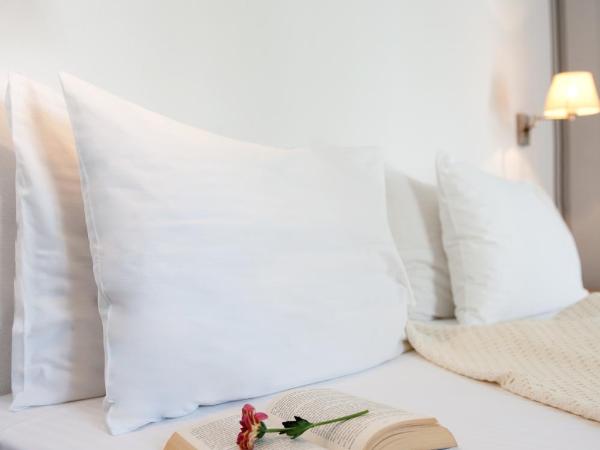 Elena Hotel Mykonos : photo 4 de la chambre chambre simple standard