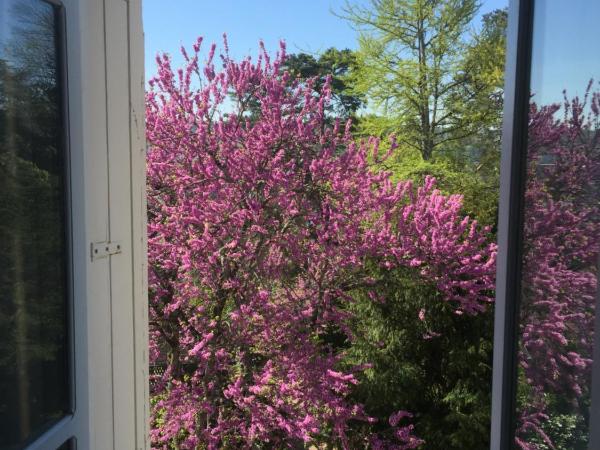 Chambres d'Hôtes Couleurs du Temps : photo 6 de la chambre chambre double - côté jardin