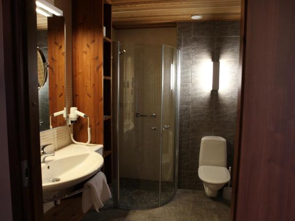 Levi Hotel Spa : photo 6 de la chambre chambre lits jumeaux supérieure