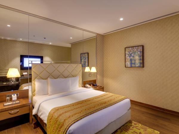 Niranta Transit Hotel Terminal 2 Arrivals/Landside : photo 7 de la chambre chambre lit queen-size premium