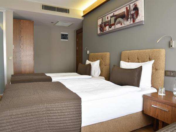 The Elegant Hotel : photo 4 de la chambre chambre lits jumeaux deluxe