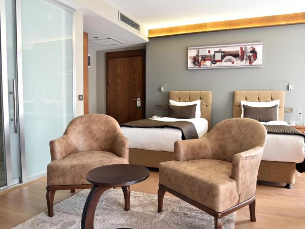 The Elegant Hotel : photo 2 de la chambre chambre lits jumeaux deluxe