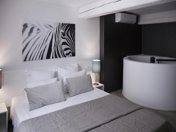 La Résidence Arles Centre : photo 2 de la chambre appartement en duplex - 1er Étage côté rue