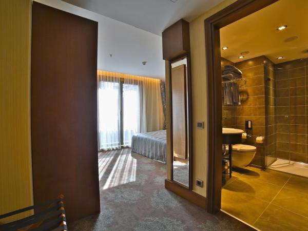 Adelmar Hotel Istanbul Sisli : photo 5 de la chambre chambre simple deluxe