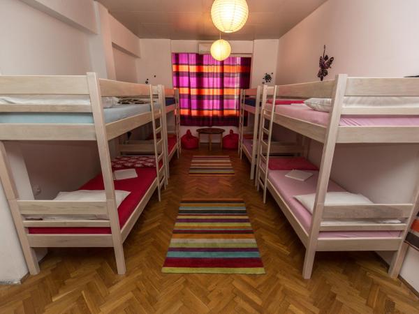 Crazy House Hostel : photo 2 de la chambre lit dans dortoir mixte de 10 lits