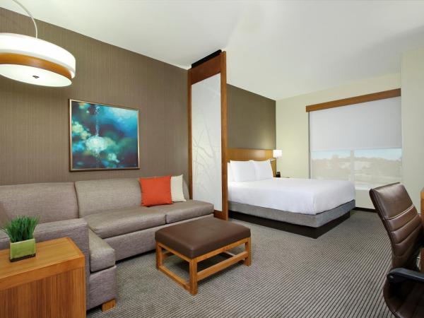 Hyatt Place Houston NW Vintage Park : photo 9 de la chambre chambre lit king-size