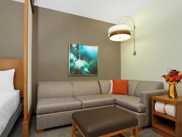 Hyatt Place Houston NW Vintage Park : photo 7 de la chambre chambre lit king-size