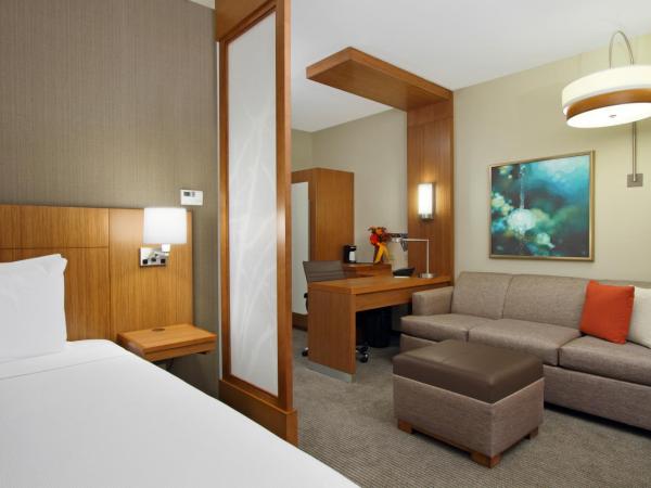 Hyatt Place Houston NW Vintage Park : photo 8 de la chambre chambre lit king-size