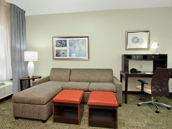 Staybridge Suites - Houston - Medical Center, an IHG Hotel : photo 3 de la chambre suite 1 chambre lit king-size avec canapé-lit