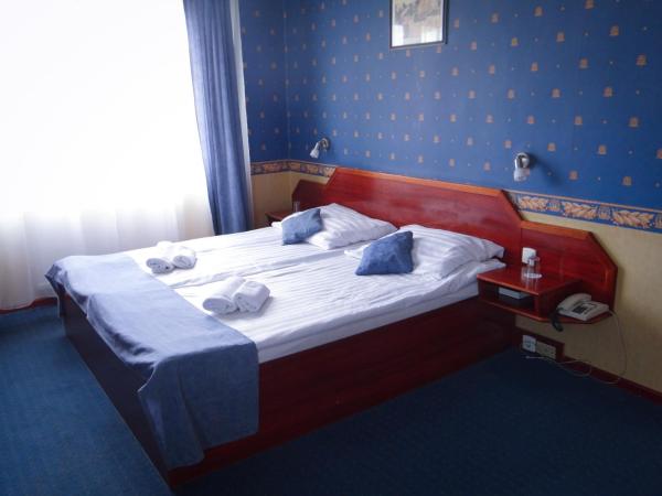 Classic Hotel : photo 6 de la chambre chambre double ou lits jumeaux standard