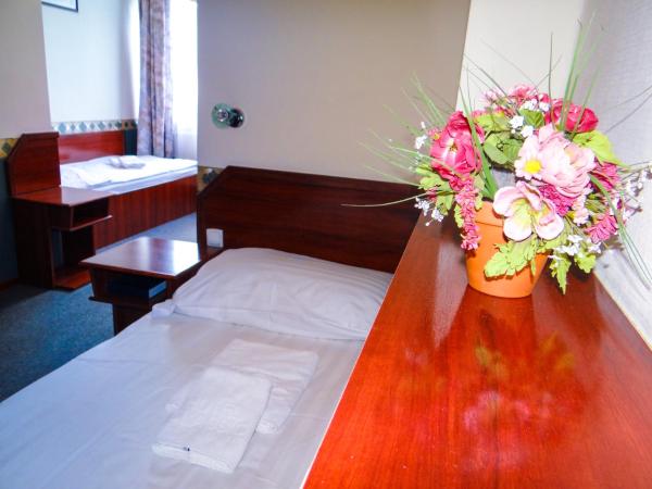 Classic Hotel : photo 5 de la chambre chambre double ou lits jumeaux standard