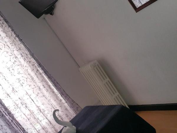 Hostal Lima : photo 4 de la chambre chambre lits jumeaux avec balcon