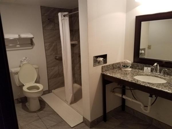 Best Western InnSuites Tucson Foothills Hotel & Suites : photo 8 de la chambre queen room with walk-in shower - disability access