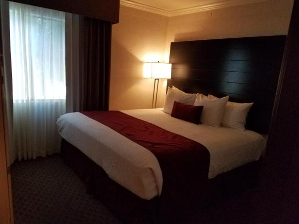 Best Western InnSuites Tucson Foothills Hotel & Suites : photo 6 de la chambre chambre lit king-size avec canapé-lit et douche à l'italienne - accessible aux personnes à mobilité réduite