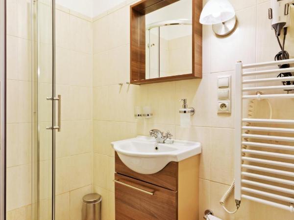 Penzion Dvořákova : photo 7 de la chambre chambre double ou lits jumeaux