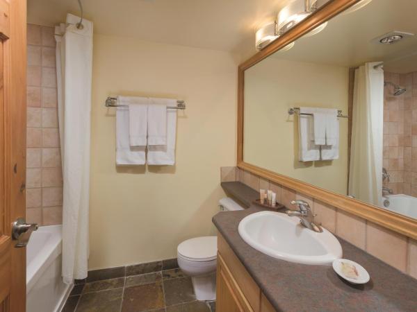 Mountainside Lodge : photo 1 de la chambre suite studio